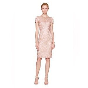 Tadashi Shoji Lace PEMBA DRESS